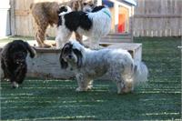 daycare pic 140